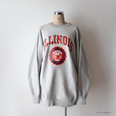 画像21: 80's Champion "REVERSE WEAVE" PRINT CREW NECK SWEAT "ILLINOIS" "MADE IN USA" (21)